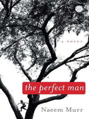 cover image of The Perfect Man